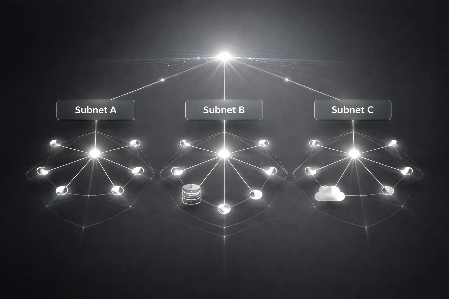 Rendix subnet systems visualization.